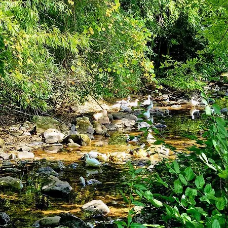 Aux Doux Refuges De La Muse Апартаменты *