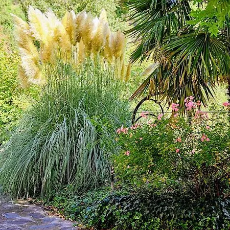 Апартаменты Aux Doux Refuges De La Muse Montjaux