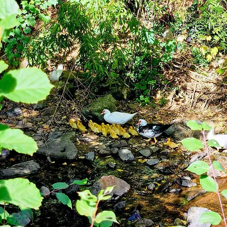 Aux Doux Refuges De La Muse Апартаменты